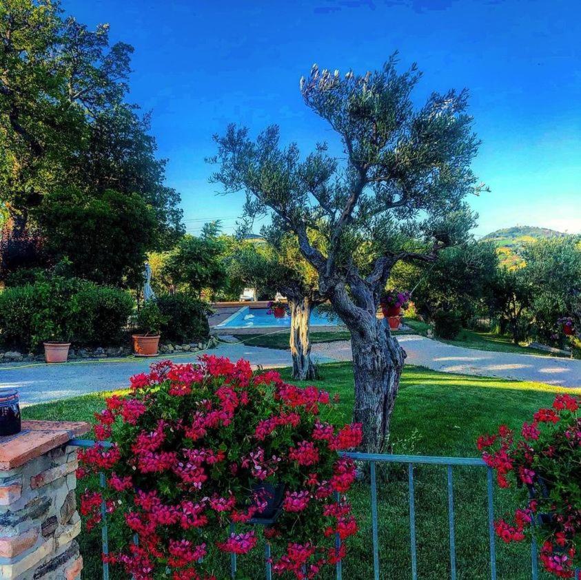 Casale Il Cerqueto Bed and Breakfast San Severino Marche Exteriör bild