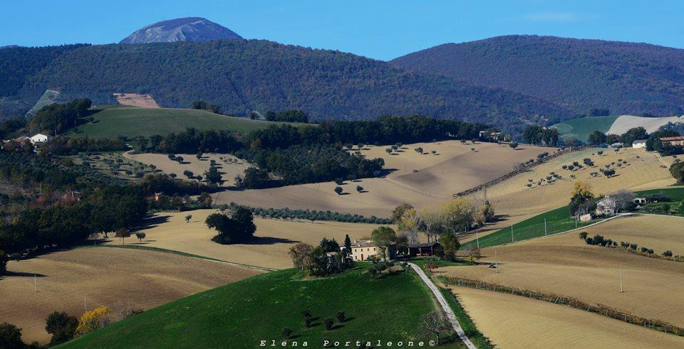 Casale Il Cerqueto Bed and Breakfast San Severino Marche Exteriör bild