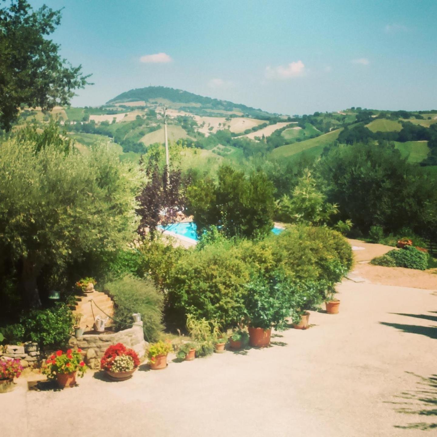 Casale Il Cerqueto Bed and Breakfast San Severino Marche Rum bild