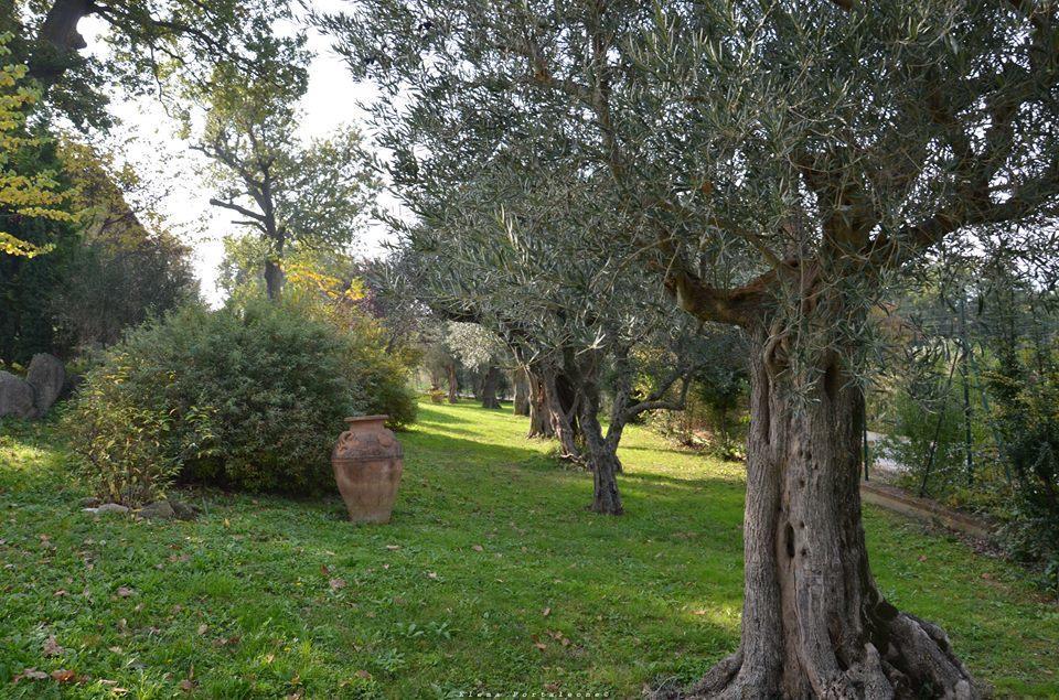 Casale Il Cerqueto Bed and Breakfast San Severino Marche Exteriör bild