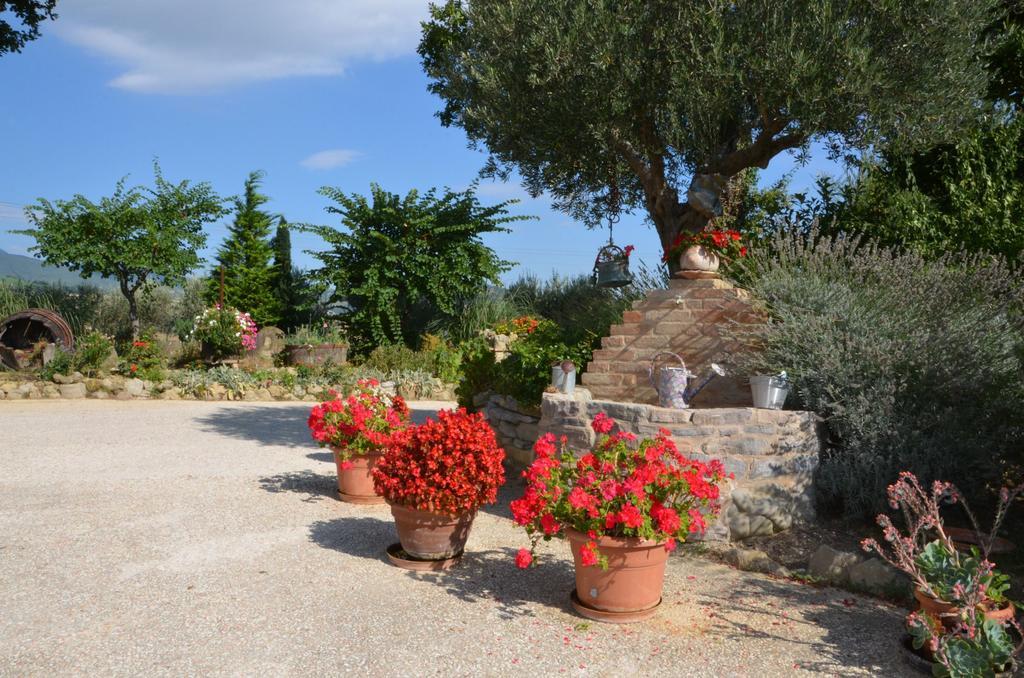 Casale Il Cerqueto Bed and Breakfast San Severino Marche Exteriör bild