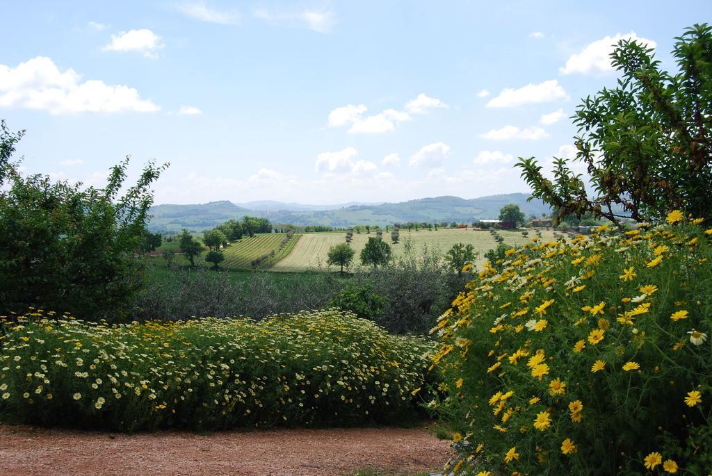 Casale Il Cerqueto Bed and Breakfast San Severino Marche Exteriör bild