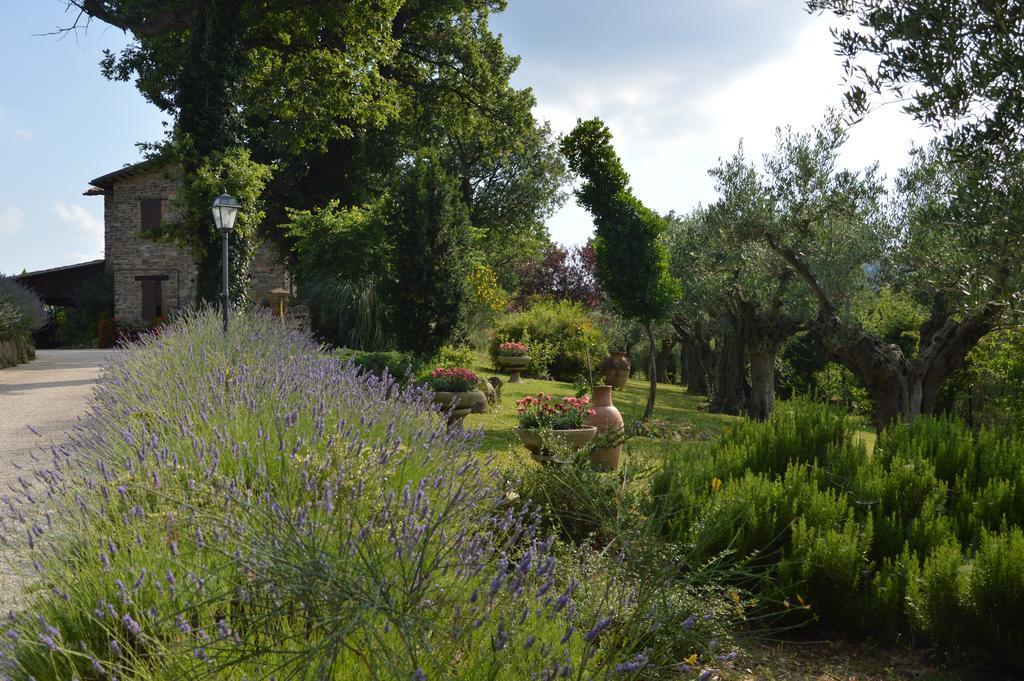 Casale Il Cerqueto Bed and Breakfast San Severino Marche Exteriör bild