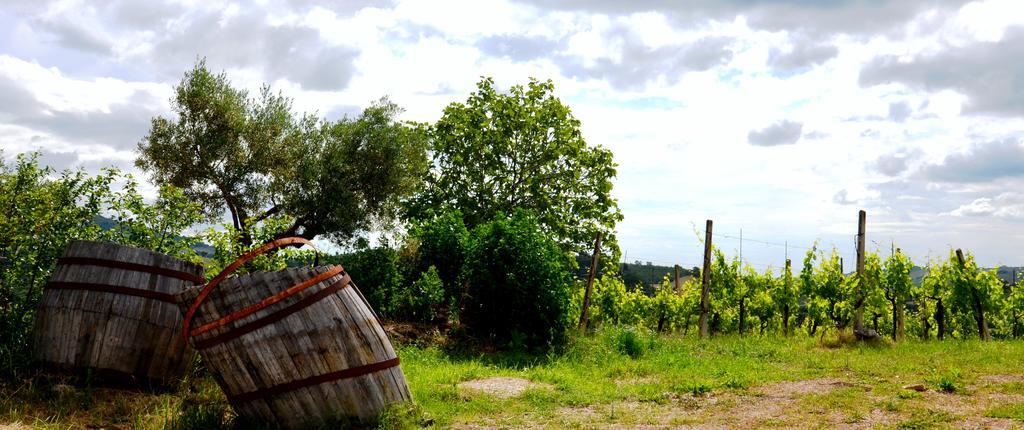 Casale Il Cerqueto Bed and Breakfast San Severino Marche Exteriör bild